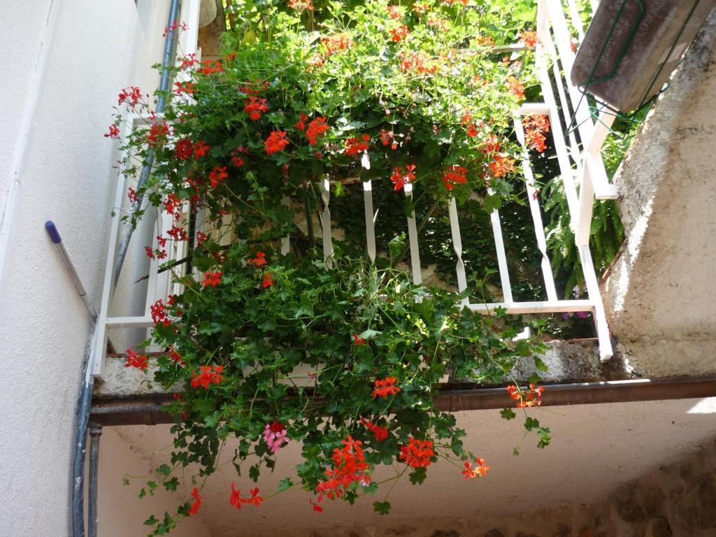 B&B Villa Dubrovnik Garden Kültér fotó